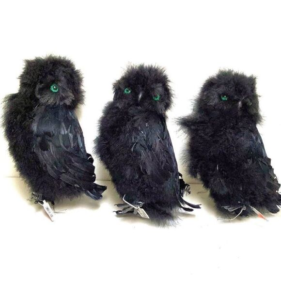 Spooky Feathered Owl Halloween Decorations Extra Large - Picture 1 of 10